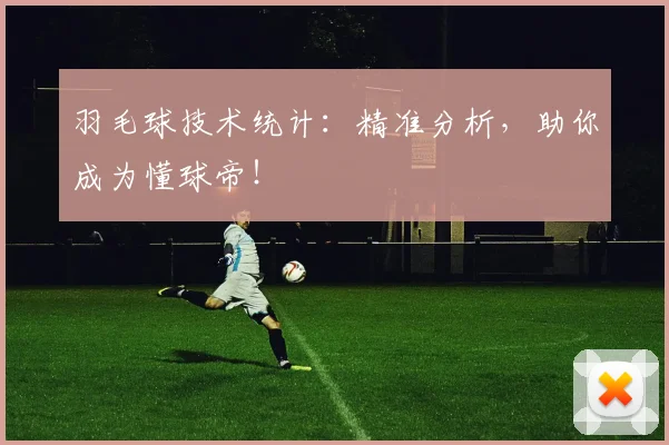 羽毛球技术统计：精准分析，助你成为懂球帝！