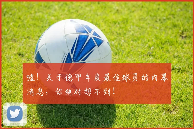 嘘！关于德甲年度最佳球员的内幕消息，你绝对想不到！