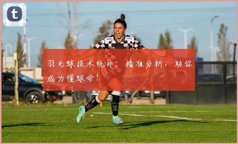 羽毛球技术统计:精准分析,助你成为懂球帝!